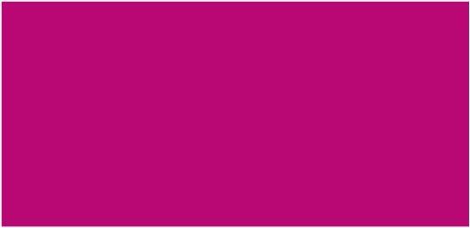 Image du produit Lascaux 30999 (Magenta primaire, 500 ml)