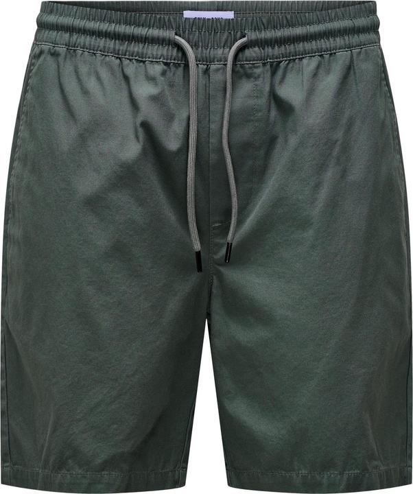 Only & Sons Normal geschnitten Shorts Shorts (L)