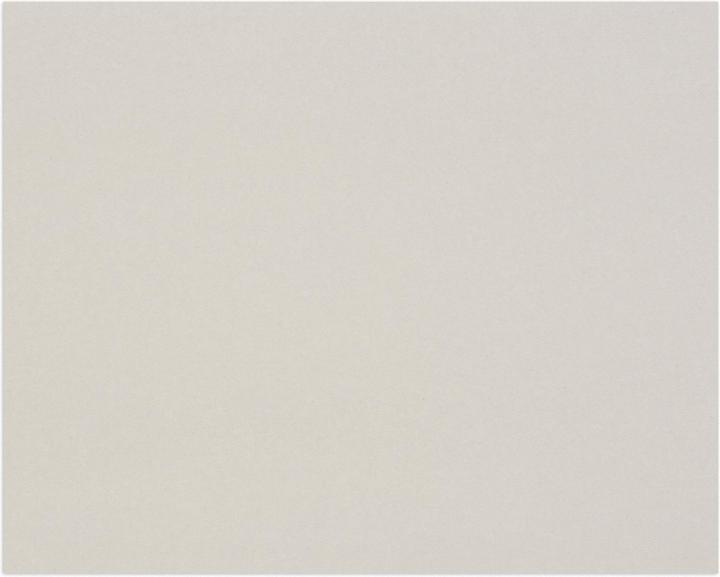 Immagine prodotto Clairefontaine Pannello grigio (1920 g/m², 10 x)