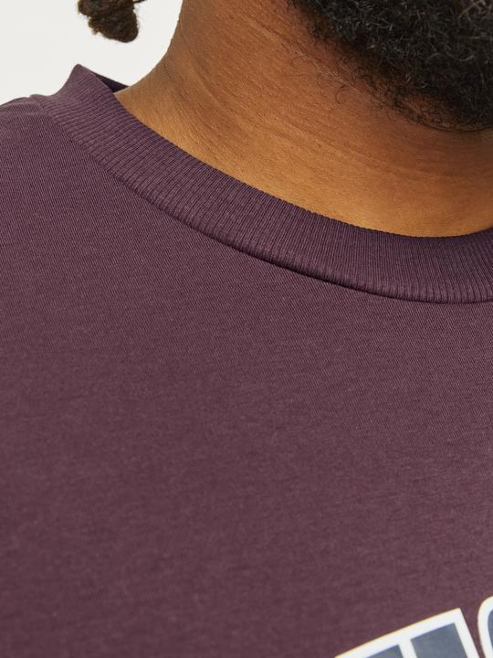 Immagine prodotto Jack & Jones Jjecaleb Varsity Tee Ss O-Neck Noos Pls (XXL)