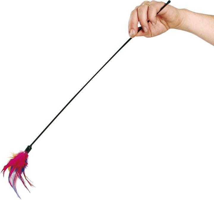 Swisspet Catfish with feather duster (Play fishing rod cat)