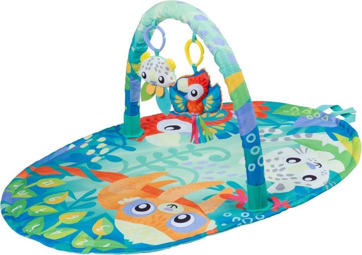Playgro Mighty Milestones Play Gym (10188673)