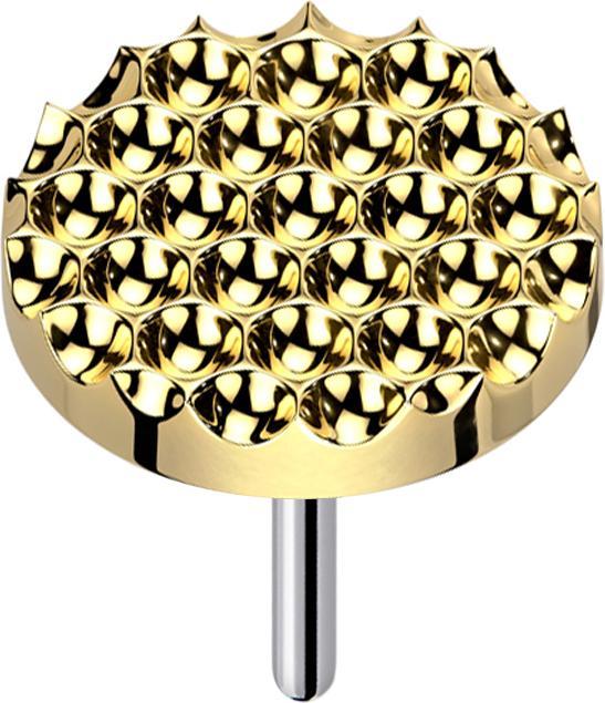 Image du produit Star Piercing Threadless pointillé de diamant disque plaqué or (Titane G23, sans laiton)