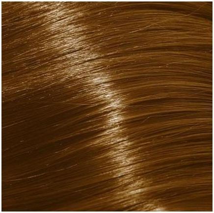 Immagine prodotto XP200 Tintura per capelli 10.31 Biondo Extra Chiaro / Oro / Cenere - 100 ml (2 Trattamenti) (Oro, Cenere, 10,31 Biondo extra chiaro)