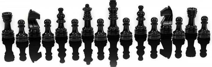 Actual product image Millennium Chess Genius Chess Computer