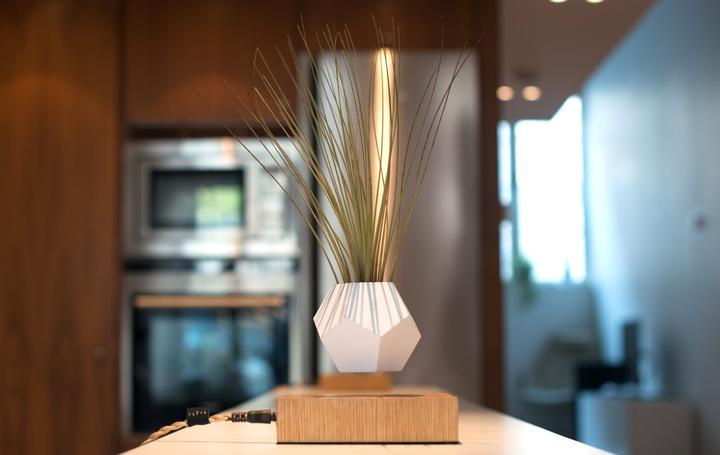 Image du produit Flyte LYFE Planter (154 cm)