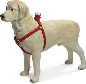Actual product image Beeztees BZ HARNESS MACL RED 2560-100 (100, Dog, General)