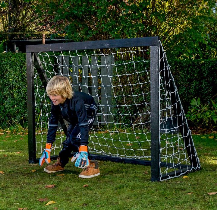 Actual product image Euro Play Homegoal Pro Mini - Sort