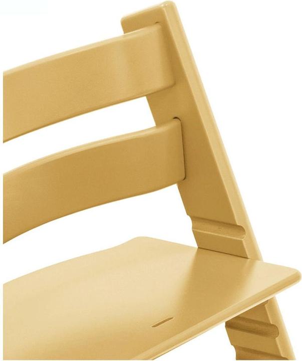 Actual product image Stokke Tripp Trapp (High chair booster seat)