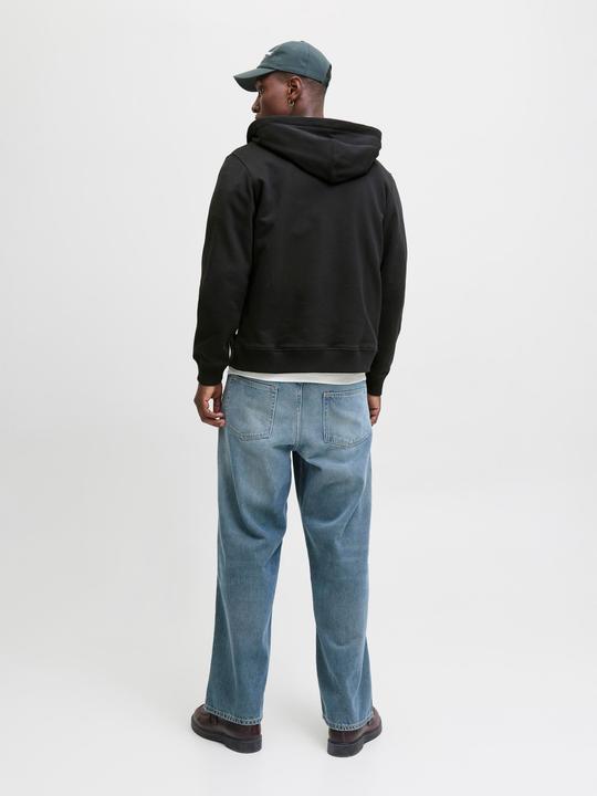 Actual product image Jack & Jones Jornorrebro Emb Sweat Zip Hood Noos (XS)