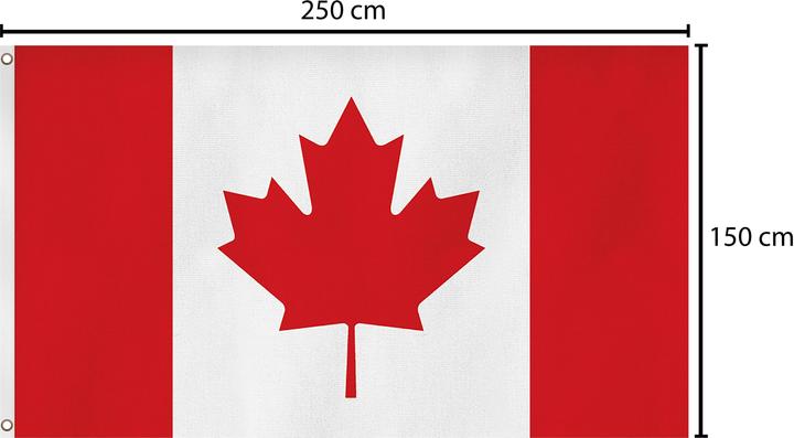 Produktbild Normani Fahne Länderflagge 150 cm x 250 cm
