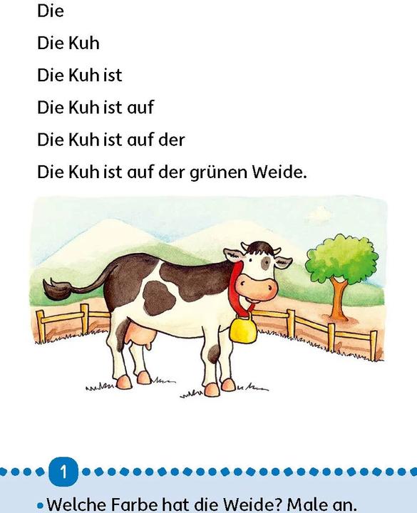 Produktbild Lesen lernen 1. Klasse für Jungen und Mädchen - Tiergeschichten (Deutsch, Carola Materna, Susanne Schulte, 2020)