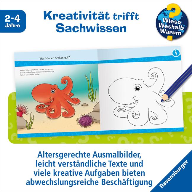 Produktbild Ravensburger Wieso? Weshalb? Warum? junior AKTIV: Am Meer (Deutsch, Yousun Koh, 2023)