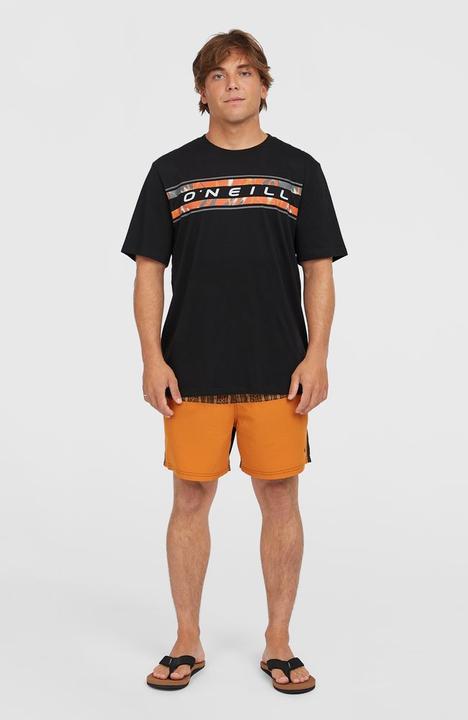 Actual product image O'Neill Cali Block 15" Swimshorts (M)
