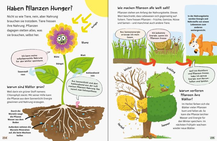 Produktbild Ravensburger Alles was ich wissen will (Deutsch, Anne Scheller, 2022)