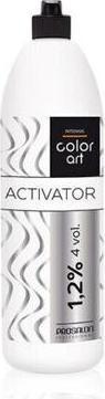 Image du produit Chantal Prosalon Color Art 1.2% Oxydant 900g