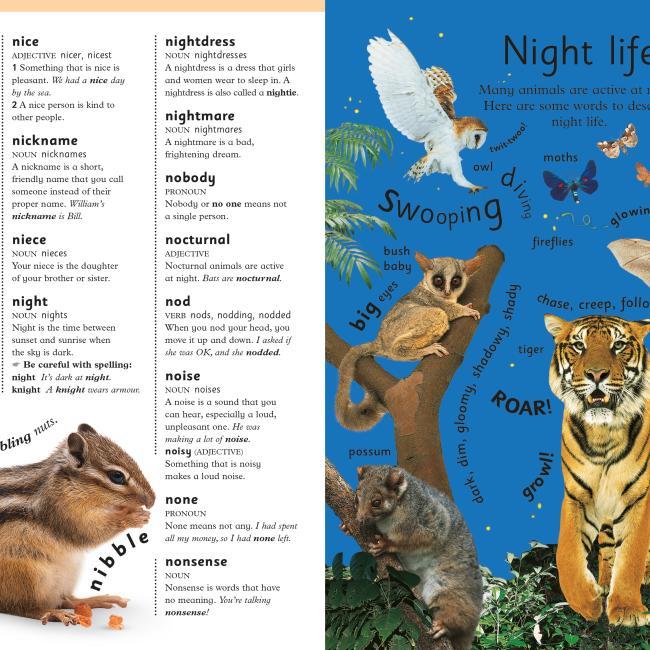 Produktbild First Children's Dictionary (Englisch, DK, 2016)