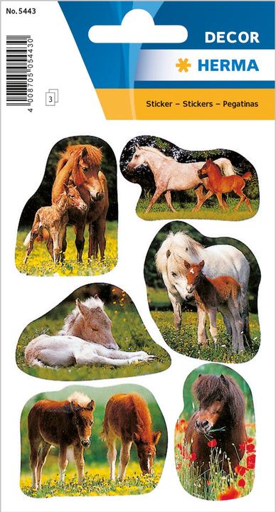Actual product image HERMA Decor stickers
