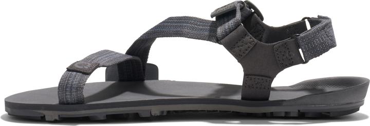 Produktbild Xero Shoes Z-Trail EV M (43)