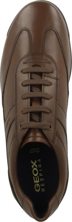 Actual product image Geox Sneaker (43)