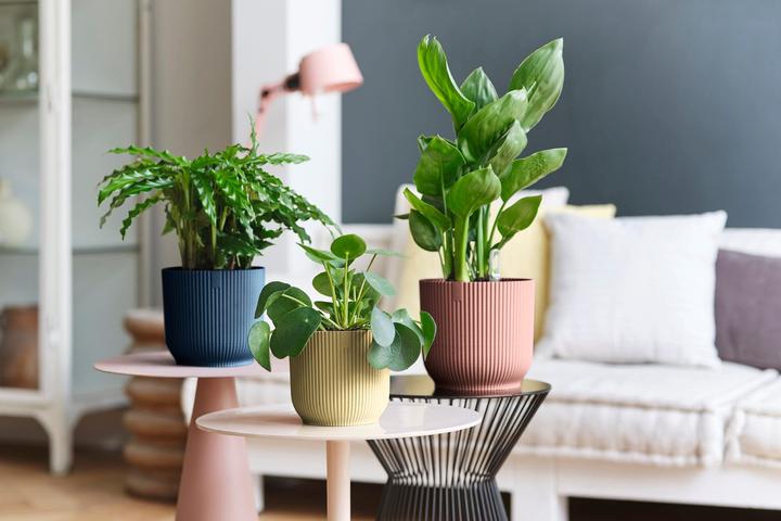 Produktbild Elho Vibes Fold (18.35 cm)