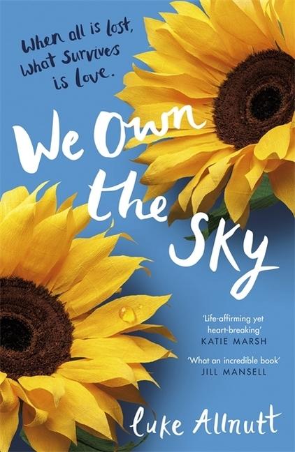 Produktbild We Own The Sky (Englisch, Luke Allnutt, 2018)