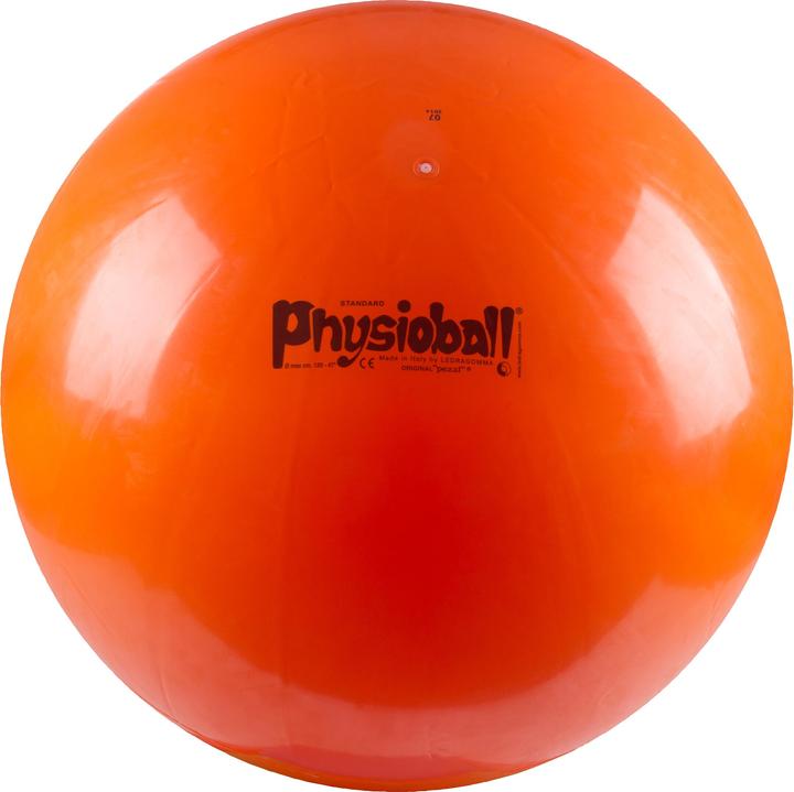 Ledragomma Original pezzi ball (120 cm)