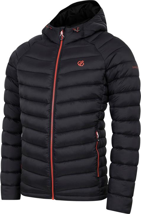 Actual product image Dare2b Mens Torrek Mountain Baffled Padded Jacket (L)