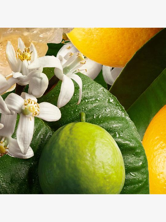 Actual product image Molton Brown Orange Bergamot (300 ml)