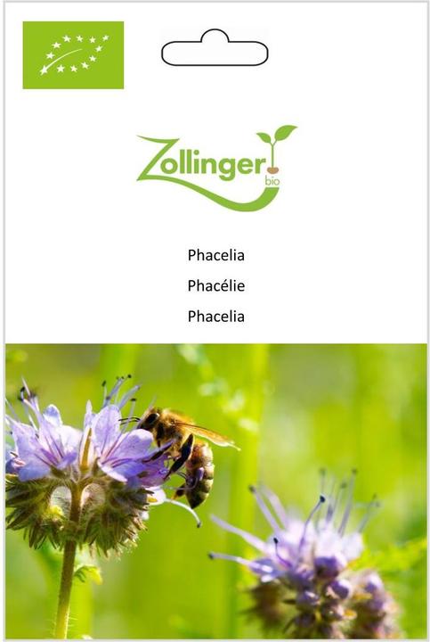 Zollinger Bio Phacelia (Semi di piante)