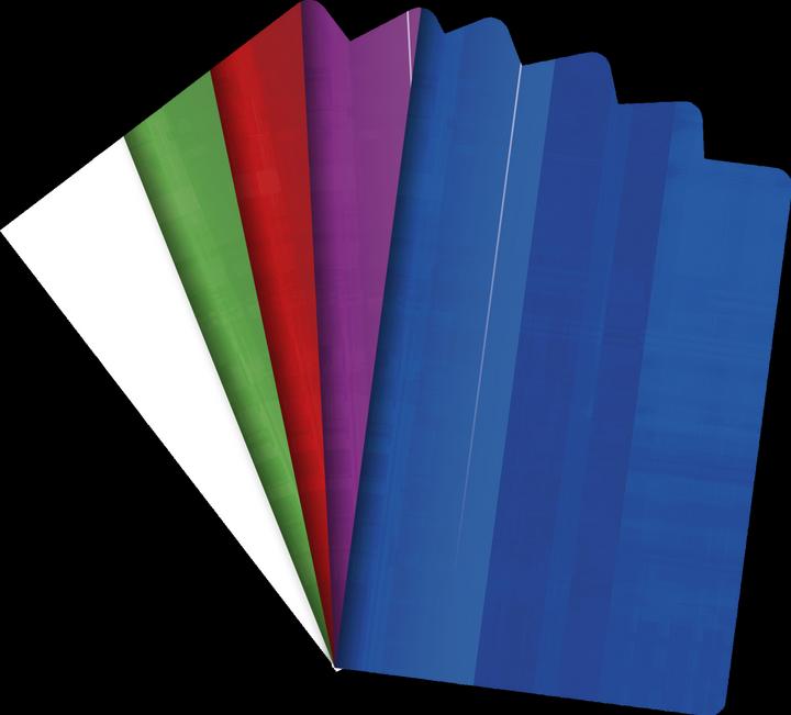 Actual product image Clairefontaine School grade book (A4, Lined, No binding)