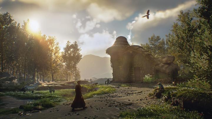 Produktbild Microsoft C2C Hogwarts Legacy Xbox One (Xbox One X, Xbox One S)