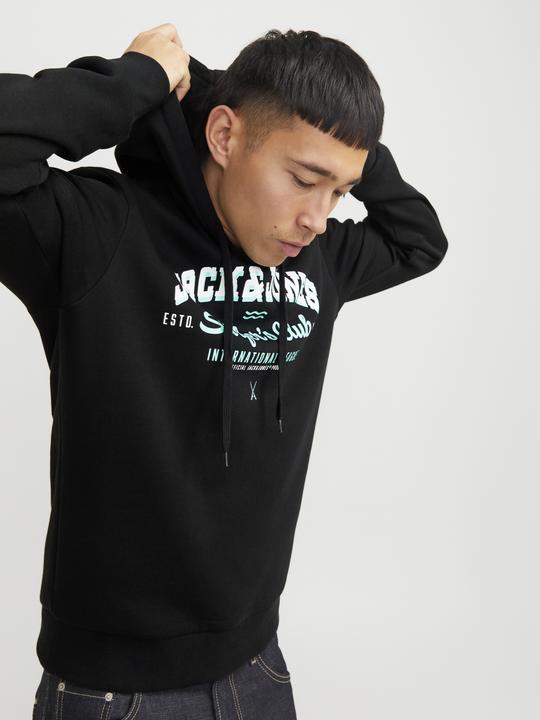 Immagine prodotto Jack & Jones JJELOGO SWEAT HOOD 2 COL 24/25 NOOS (M)