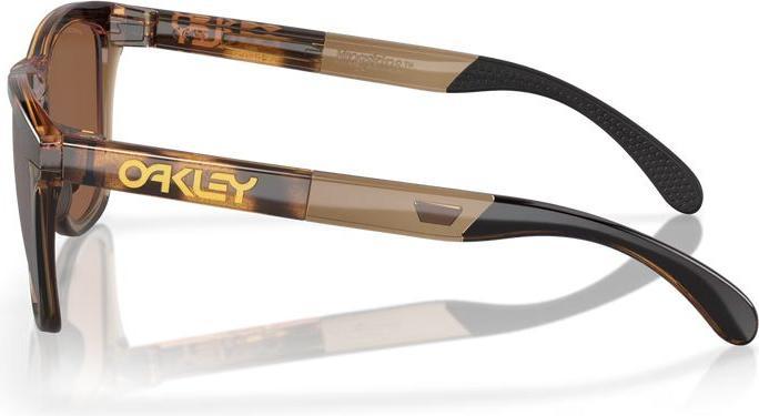 Immagine prodotto Oakley Gamma Frogskins