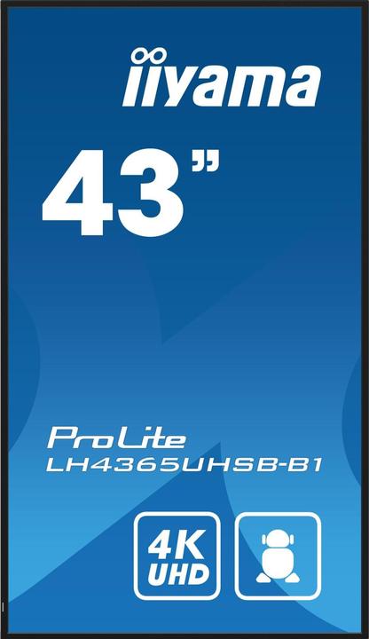 Immagine prodotto iiyama 43" 3840x2160, pannello UHD IPS, Haze 1%, 8 (3840 x 2160 pixel, 42.50")