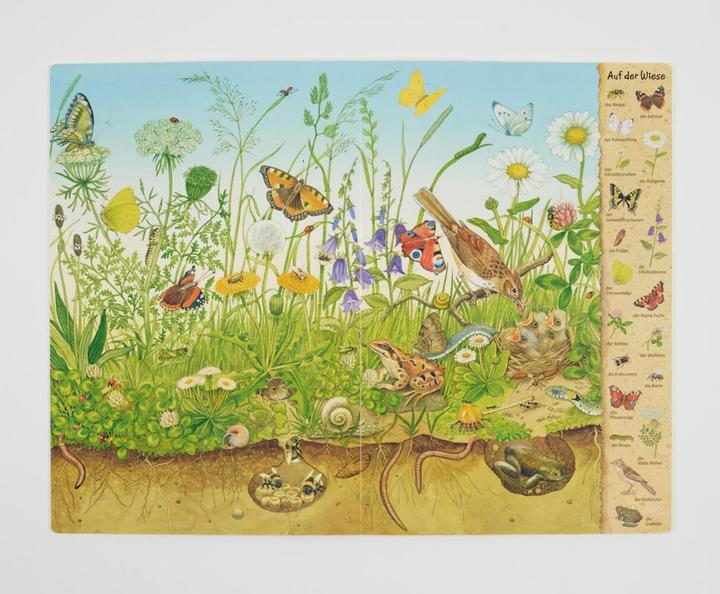 Produktbild Das Riesen-Natur-Wimmelbuch (Deutsch, Christine Henkel, 2018)
