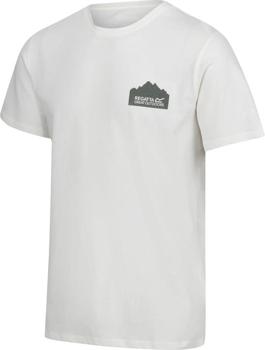 Actual product image Regatta Mens Breezed IV Graphic Print T-Shirt (L)
