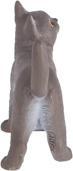 Produktbild Schleich Britische Kurzhaar Katze
