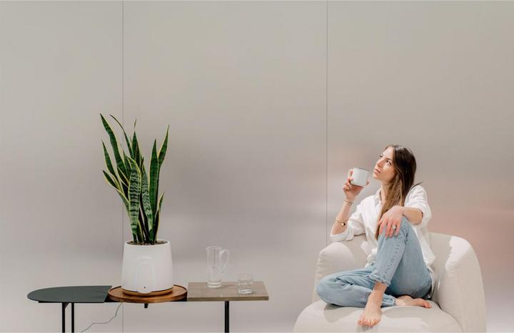 Immagine prodotto Vitesy Natede Basic Natürlicher Luftreiniger (20 m²)