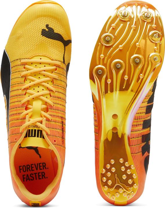 Produktbild Puma evoSPEED Sprint Nitro 2 (41)