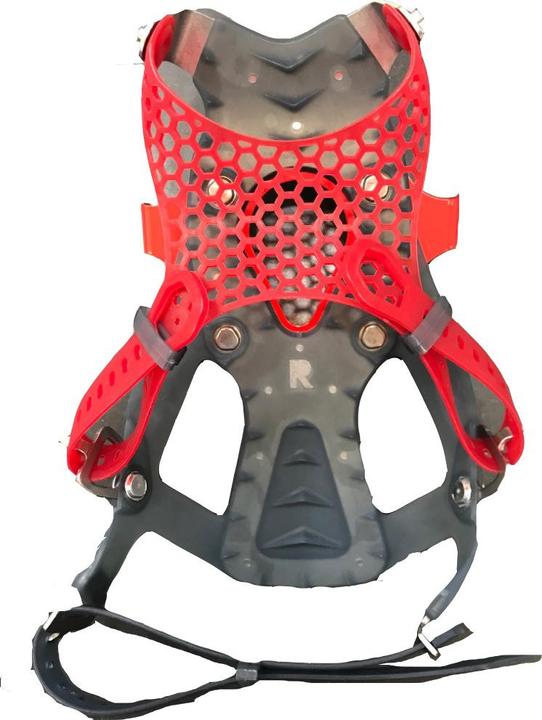 Msr Ascent Paragon 19