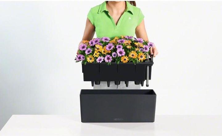 Produktbild Lechuza Balconera Color (19 cm)