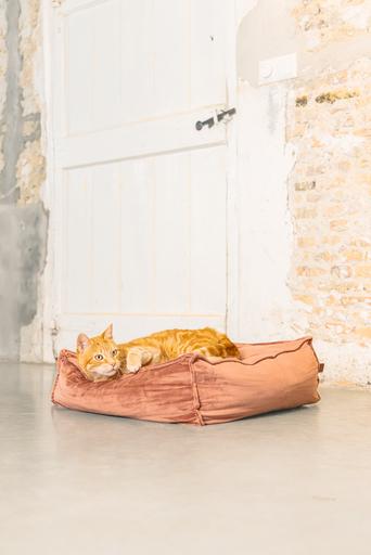 Produktbild Designed by Lotte Katzenkissen Velveti (Katze)