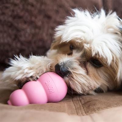Actual product image KONG Puppy (Puppy Toy)