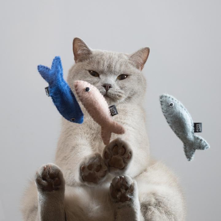 Produktbild LucyBalu SARDINES Katzenspielzeug (Katzenminzespielzeug)