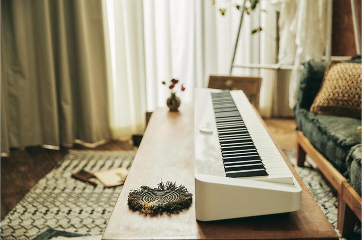 Immagine prodotto Casio Privia PX-S1100WE (88 Chiavi)