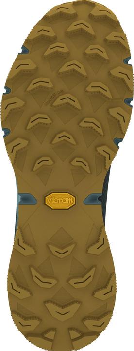 Produktbild Dynafit Ultra 100 GTX Laufschuh (42.5)