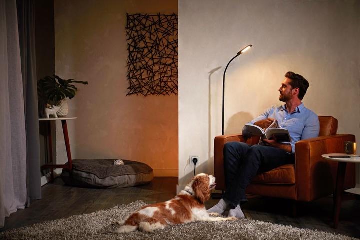 Actual product image Philips Hue SmartPlug CH