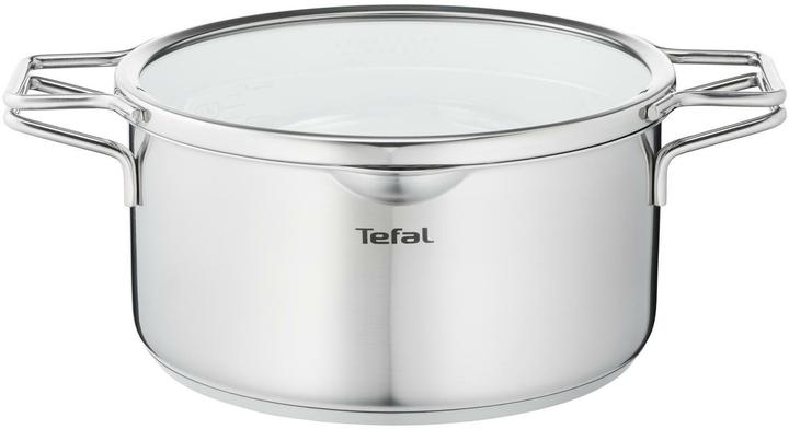 Actual product image Tefal Nordica Stewpot 20 cm (20 cm, Pot, Stainless steel)