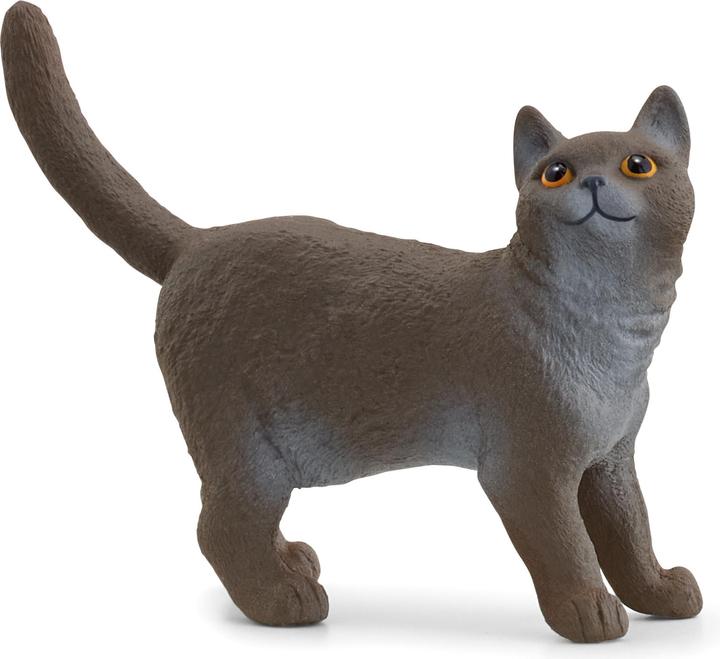 Produktbild Schleich Britische Kurzhaar Katze